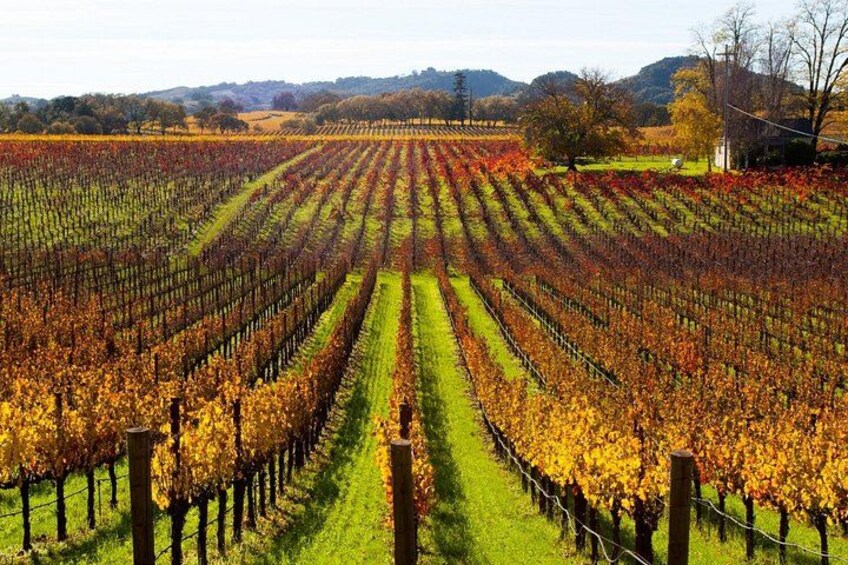 Self-Guided Audio Driving Tour of Sonoma and Napa Valley 2