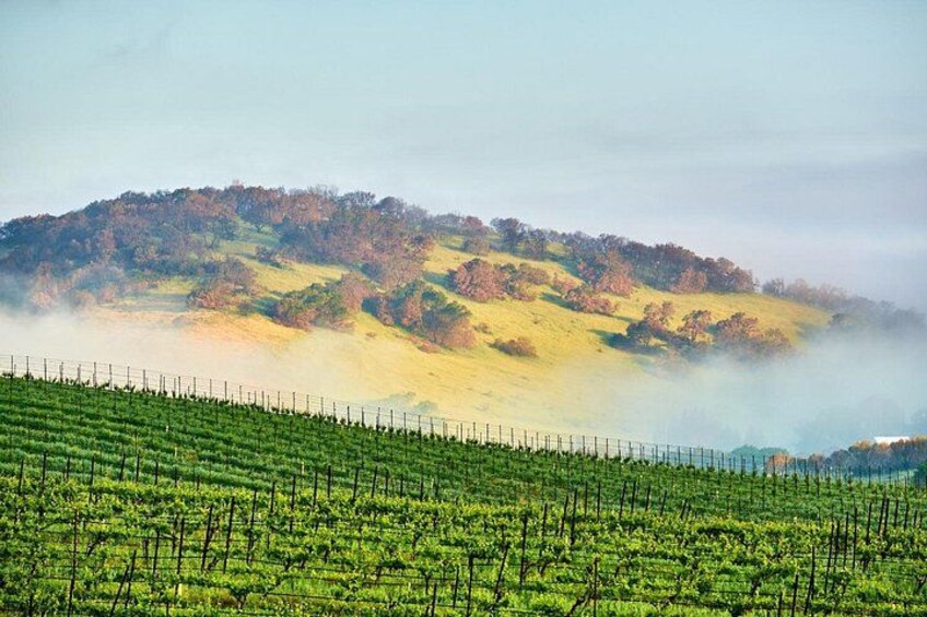 Self-Guided Audio Driving Tour of Sonoma and Napa Valley 3