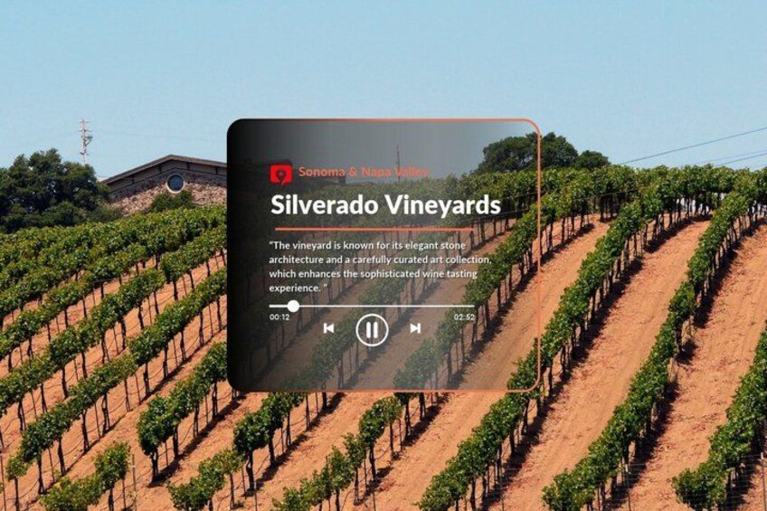 A vineyard with rows of grapevines. 4