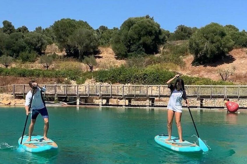 Two people paddleboarding on a calm body of water with a wooden dock and trees in the background. 3