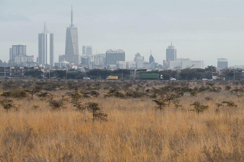 A city skyline with modern buildings and a grassy foreground. 1