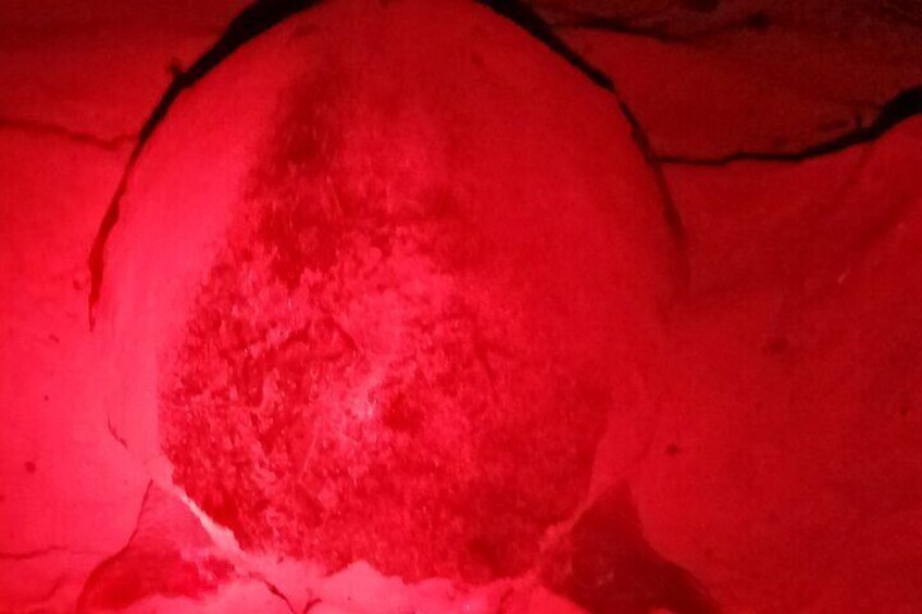 A red-lit cave interior with visible rock formations and a cave opening. 1