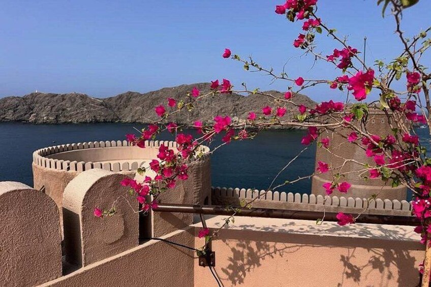 A coastal view with a stone wall, bougainvillea flowers, and a clear blue sea. 3