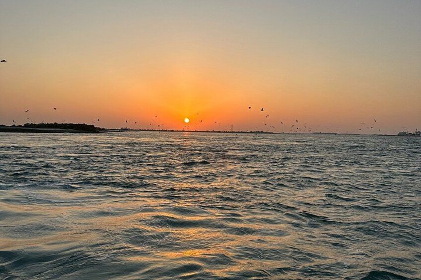Private Sunset Cruise at Al Bateen Abu Dhabi 3