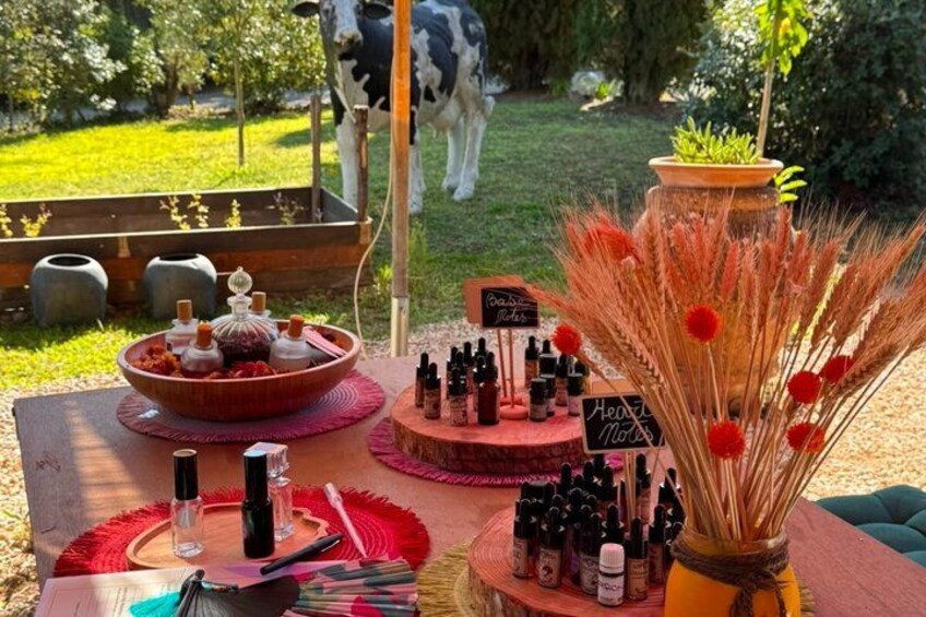 Een picknicktafel met flessen, en een koe op de achtergrond. 3