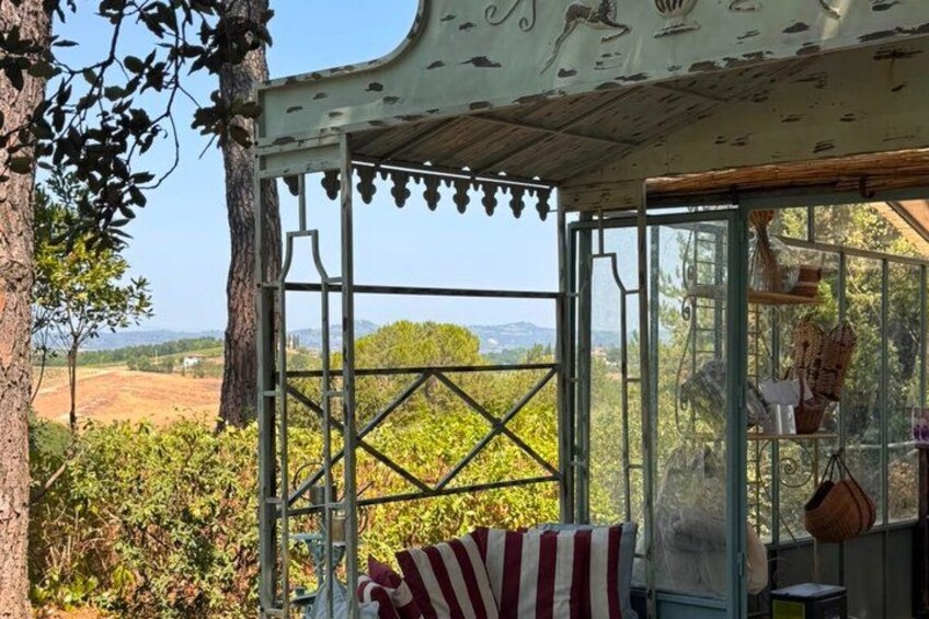Een rustieke pergola met uitzicht op een wijngaard en heuvels in de verte. 4