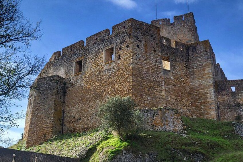 Un castillo de piedra histórico con múltiples torres y almenas, rodeado por una colina cubierta de hierba. 3