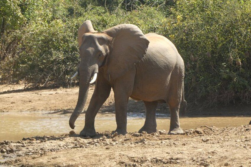 21 Days Safari Adventure Explore Zambia National Parks 2
