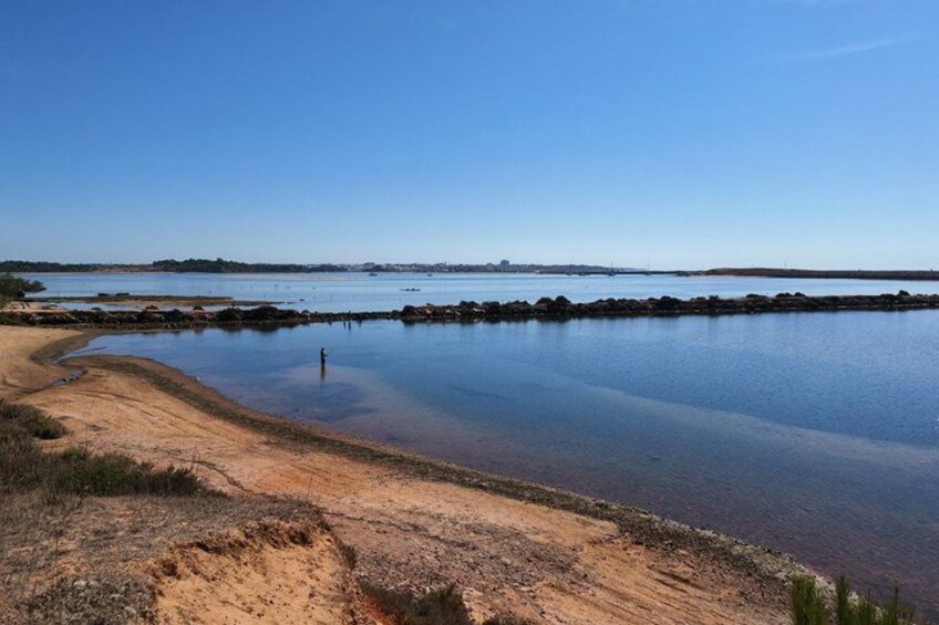 Un lago tranquilo con orilla arenosa, una figura solitaria y tierra a lo lejos. 2
