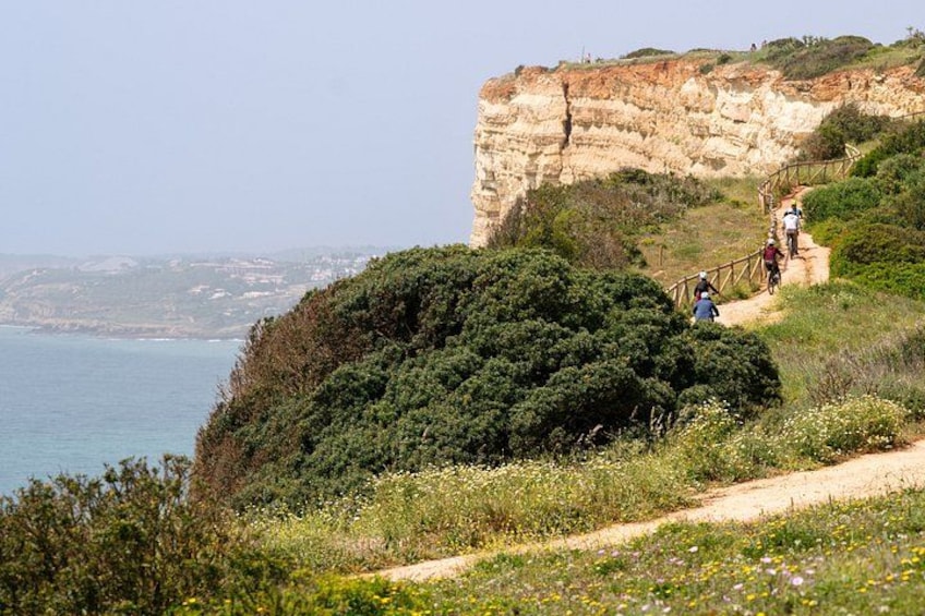 A coastal hiking trail with rocky cliffs and greenery. 4