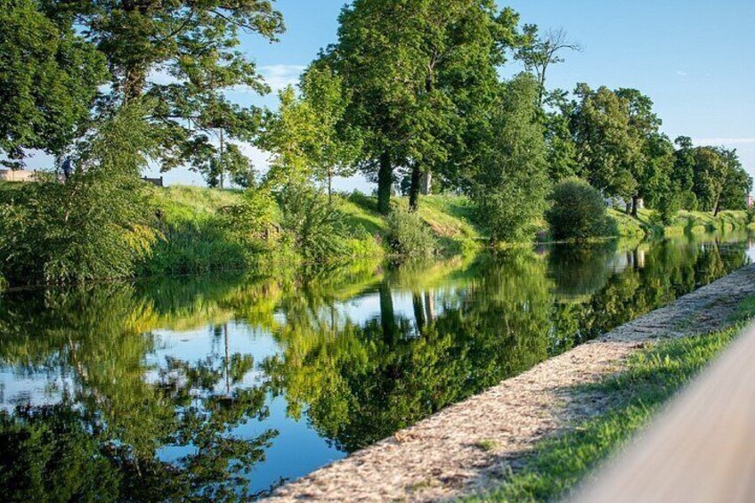 Un río tranquilo con árboles reflejados en el agua, una orilla cubierta de hierba y un cielo despejado. 3