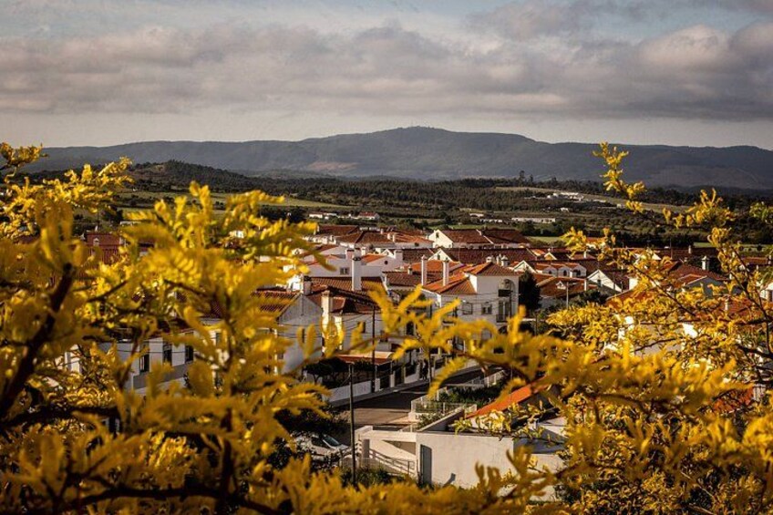 A town with red-roofed buildings, a mountain range in the background, and yellow foliage in the foreground. 3