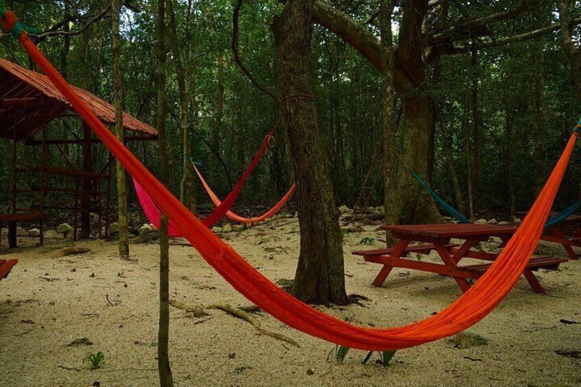 A hammock between trees, a wooden picnic table, and a wooden structure in a forest. 2
