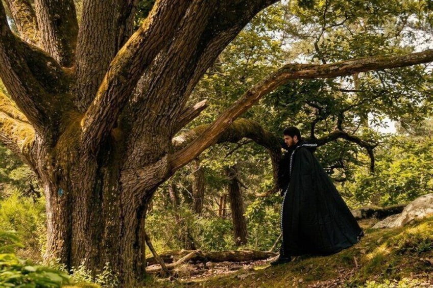 A person in a long black cloak standing under a large tree in a forest. 5
