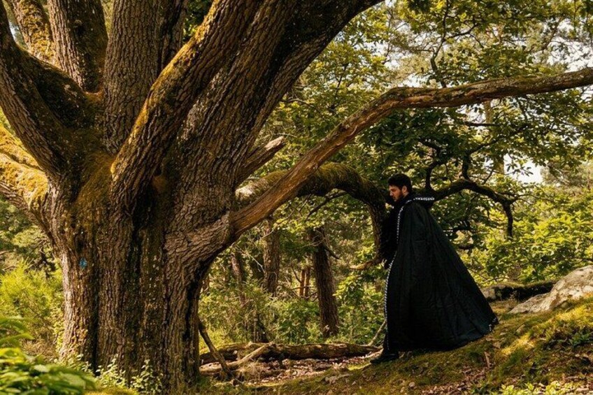 The mysteries of the Forest of Fontainebleau immersive tour 5