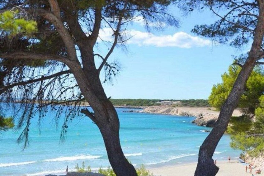 Cassis, the beautifull Calanques & Aix en Provence 3