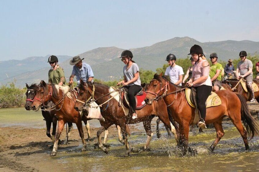 A group of people riding horses along a riverbank. 3