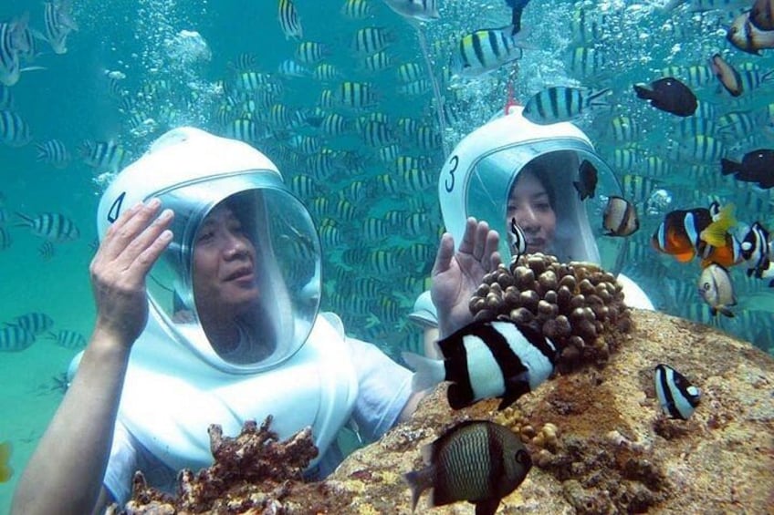 Two people in scuba diving gear underwater with fish and coral. 2