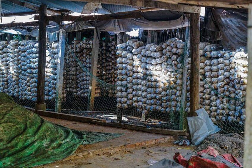 Un puesto de mercado con pilas de bolsas, un toldo verde y una estructura de madera. 5
