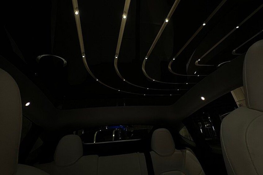 Toronto Tesla Glass Roof Photo Tour — 11 Neighborhoods, Max 4 3