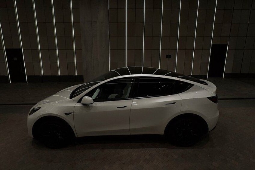 Toronto Tesla Glass Roof Photo Tour — 11 Neighborhoods, Max 4 2