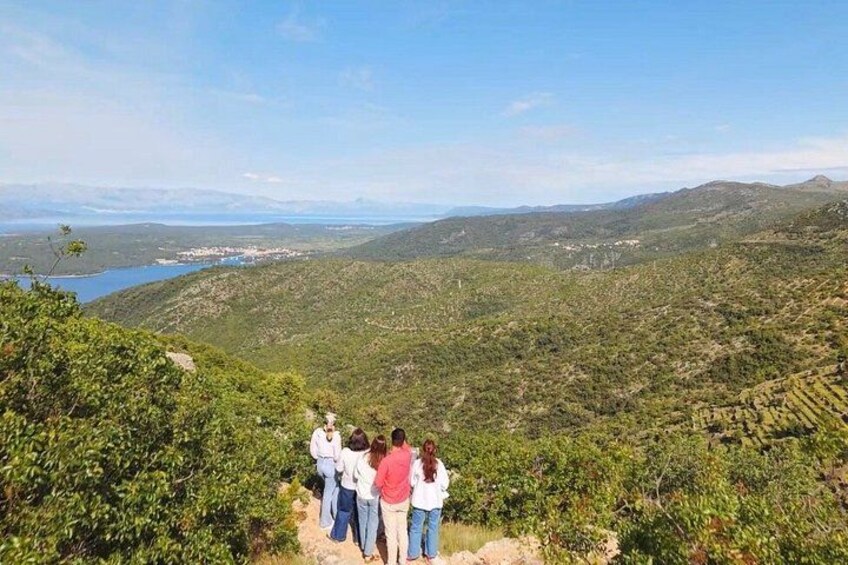 Eco Tuk Tuk Tour - Hvar hidden gems 4