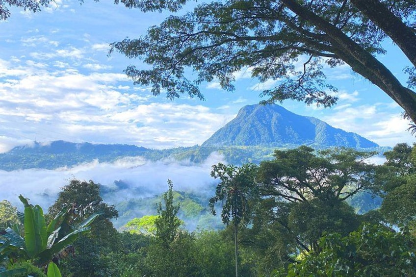 Creative Wellness Retreat in Nature near Medellín 2