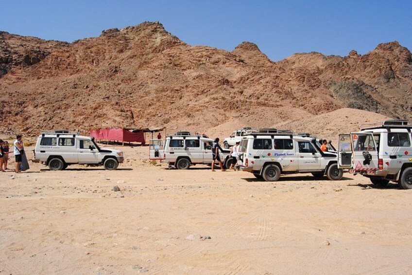 Hurghada Desert Safari: Quad, Buggy, 4X4 Jeep, BBQ Dinner & Show 2