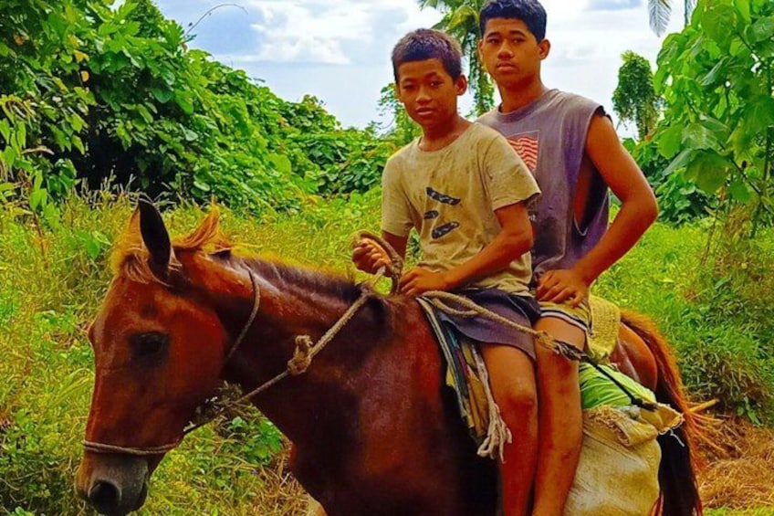 Due persone cavalcano un cavallo in un campo erboso, con fitta vegetazione sullo sfondo. 3