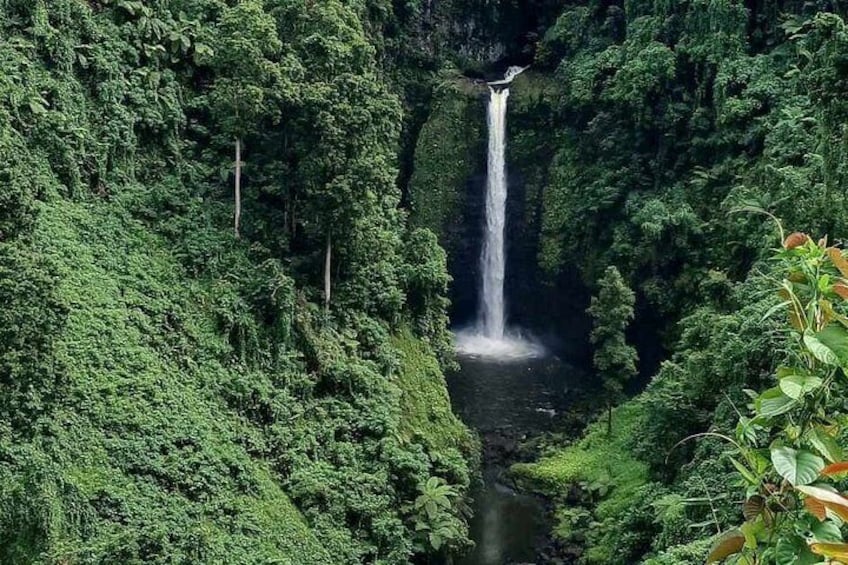 Apia Samoa : Full Day ,Cruise ship Excursion 2