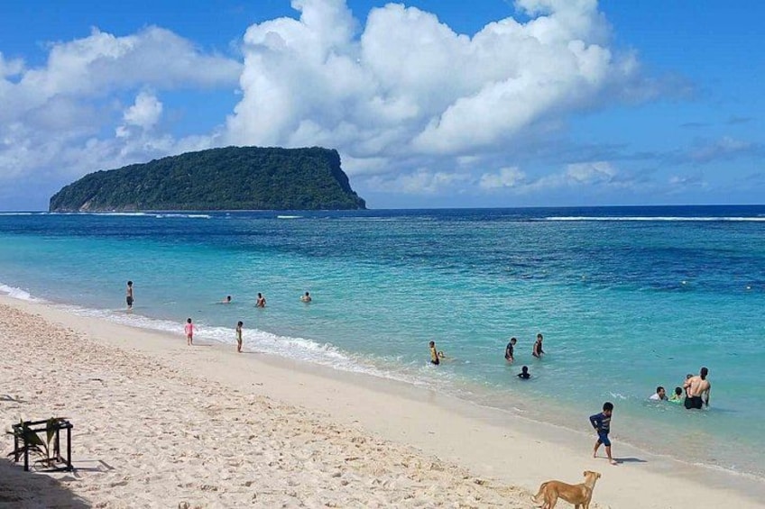 A beach with people swimming and walking, a dog on the sand, and a small island in the background. 2