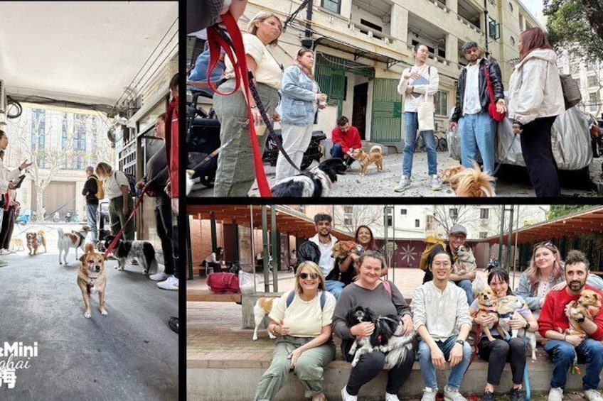 A group of people with dogs in an outdoor urban setting. 1
