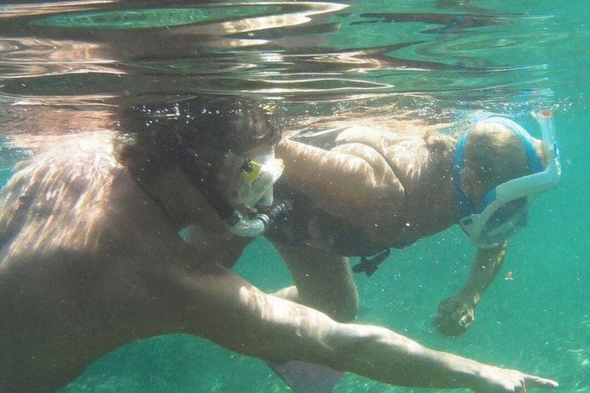 A person swimming underwater with a dog. 5