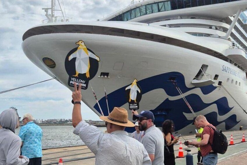 A cruise ship with penguin decorations and a person pointing at them. 2