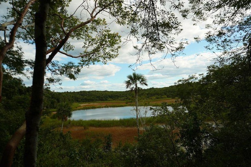 A lake surrounded by dense forest and a clear sky. 3