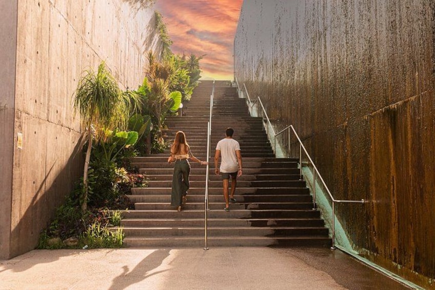 A staircase with metal railings, surrounded by greenery and concrete walls. 3