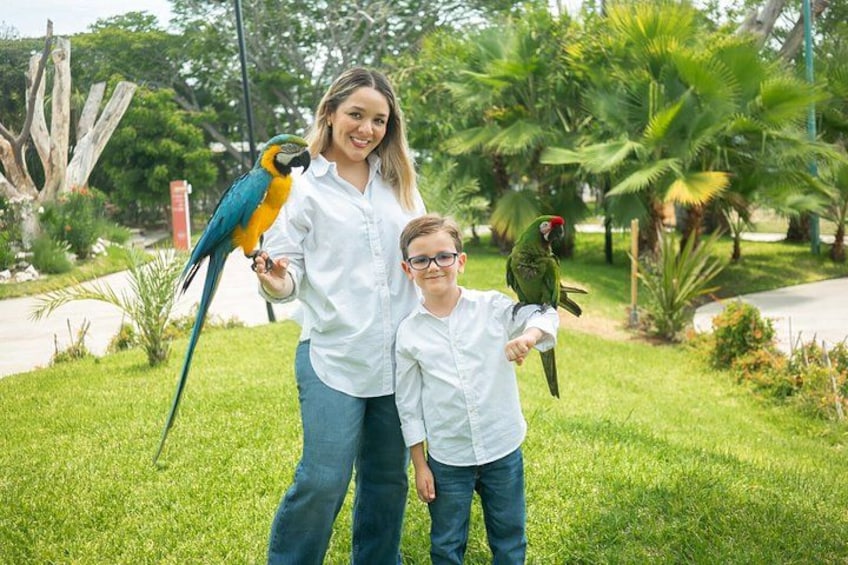Two people holding parrots in a garden with palm trees and a wooden structure. 4
