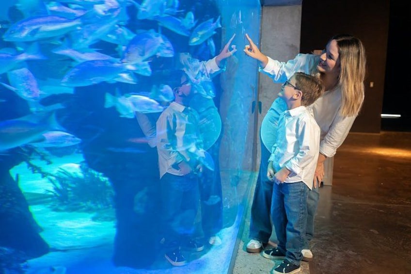 An aquarium with large fish tanks and visitors observing the fish. 5