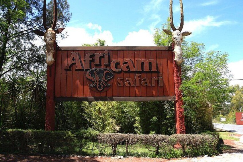 Africam Safari Private Vehicle 1
