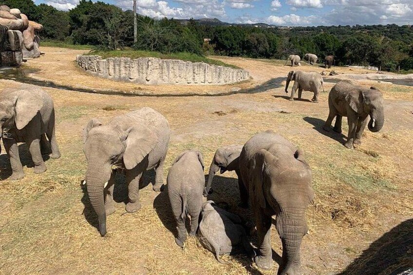 Africam Safari Private Vehicle 2