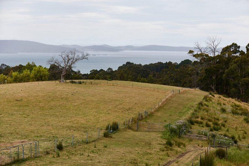 A grassy field with a fence, a tree, and a body of water in the distance. 2
