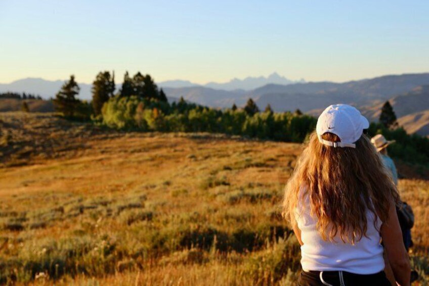 A person standing in a grassy field with mountains in the background. 3