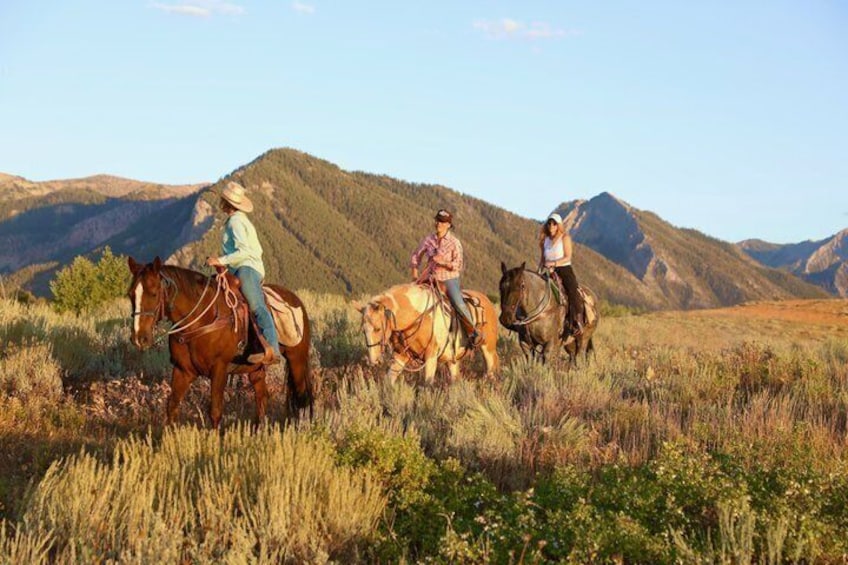 Three people riding horses in a grassy field with mountains in the background. 5