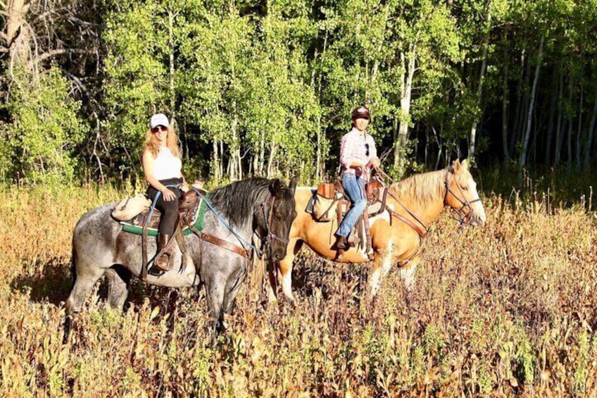 Two people riding horses in a field with tall grass and trees in the background. 4