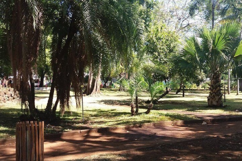 A park with palm trees, a dirt path, and a wooden post. 2