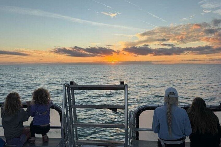 Sand Dollar Island Sunset and Brews Cruise St. Pete 2