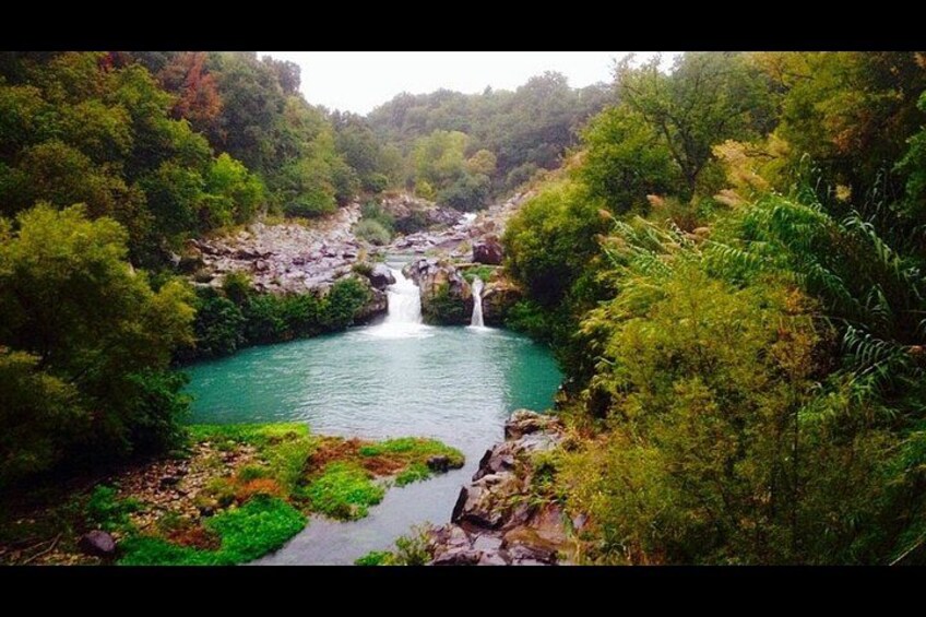 A river with a waterfall surrounded by dense forest. 3