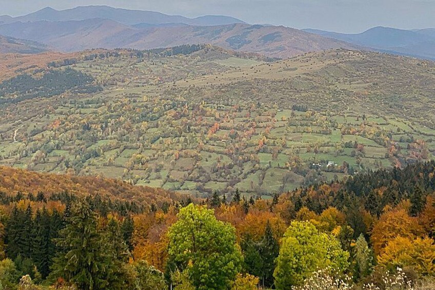 A hilly landscape with autumn-colored trees and fields. 5