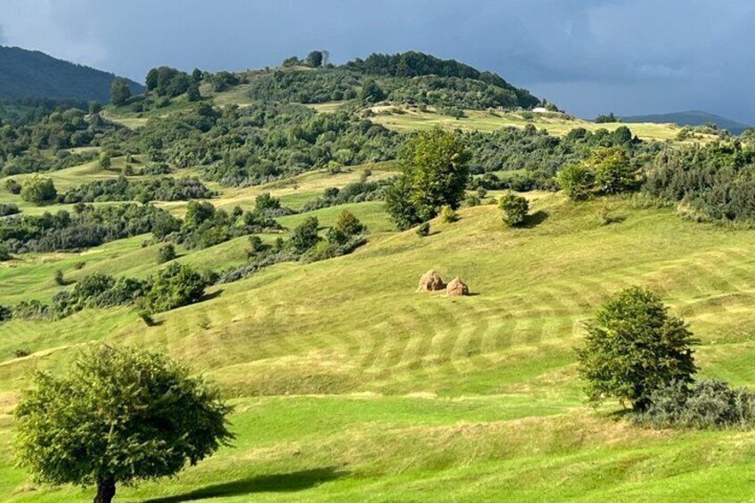 A rolling green landscape with trees and hills. 3