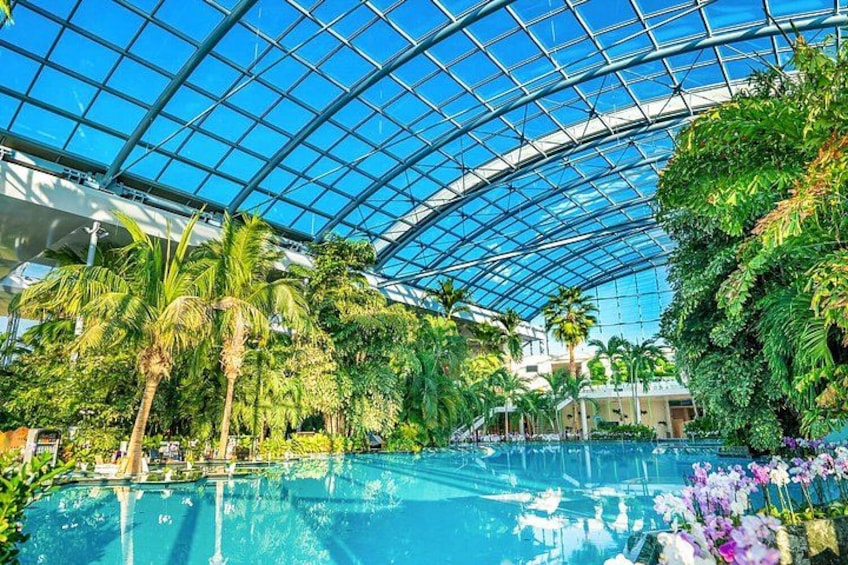 An indoor swimming pool with a glass ceiling, surrounded by lush tropical plants and palm trees. 1